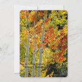 Memorial Service Viering van het leven Aspen Herfs Kaart (Voorkant)