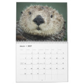 Memories of Mr.Enchilada Calendar Kalender (Mar 2027)