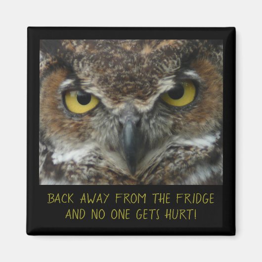 Menacing Owl Photo - MAGNET ALIMENTAIRE PARFAIT! (Devant)