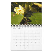 Menagerie Kalender (Mar 2027)