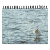 Menagerie Kalender (Hoes)