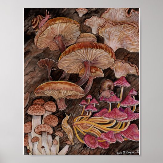 Menagerie van paddenstoelen poster (Voorkant)