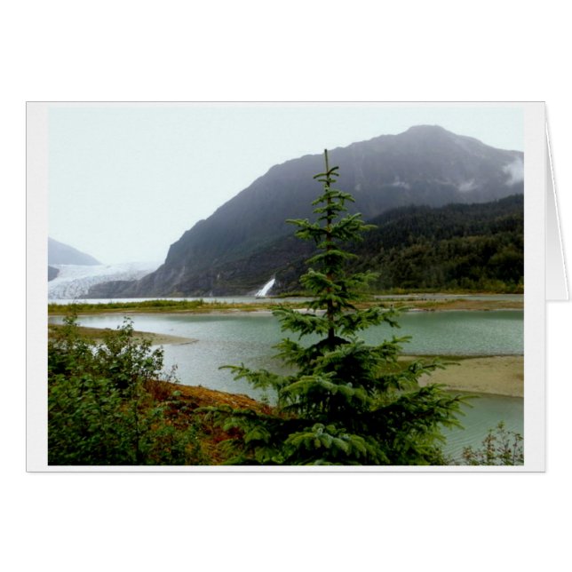 Mendenhall Glacier 2016 (Voorkant Horizontaal)