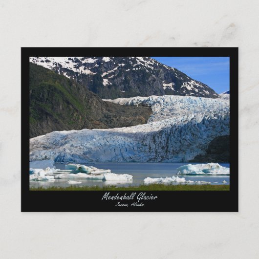 Mendenhall Glacier / Juneau Alaska Briefkaart (Voorkant)