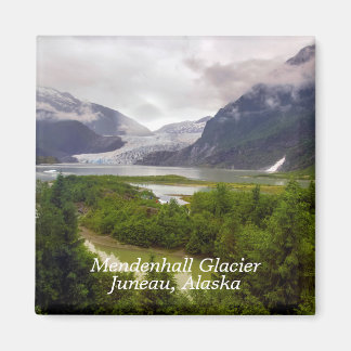 Mendenhall Glacier Juneau Alaska Magnet Magneet