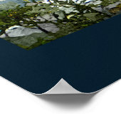 Mendenhall Glacier Poster (Hoek)