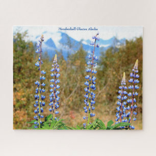Mendenhall-gletsjer Alaska Legpuzzel