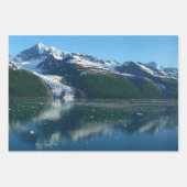 Mendenhall Lake in het landschap van Juneau Alaska Inpakpapier Vel (Voorkant 2)