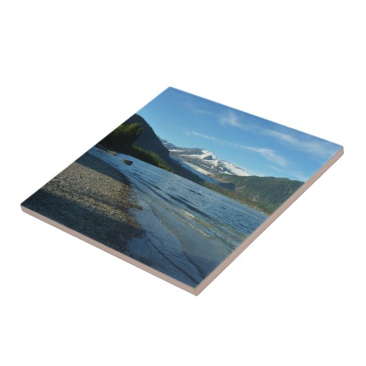 Mendenhall Lake in het landschap van Juneau Alaska Tegeltje (Zijkant)