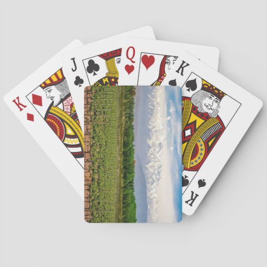Mendoza, Argentinië Pokerkaarten (Achterkant)