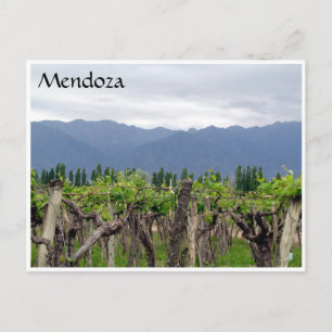 mendoza en wijnstokken briefkaart