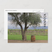 mendoza-loop briefkaart (Voorkant / Achterkant)