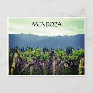 mendoza vines andes briefkaart