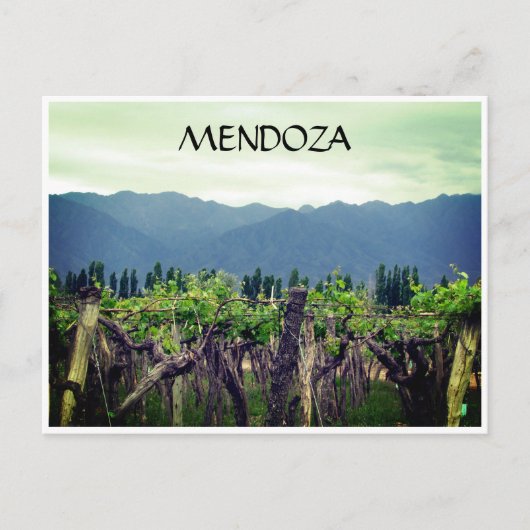 mendoza vines andes briefkaart (Voorkant)
