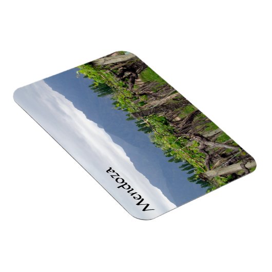 mendoza-wijnstokken magneet (Rechterzijde)