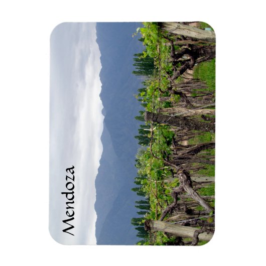 mendoza-wijnstokken magneet (Verticaal)