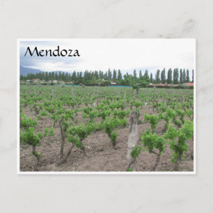 mendoza winery briefkaart