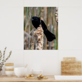 Meneer Blackbird Poster (Keuken)