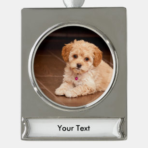 Mengsel van baby Maltese poedel of maltipoophondsh Verzilverd Banner Ornament