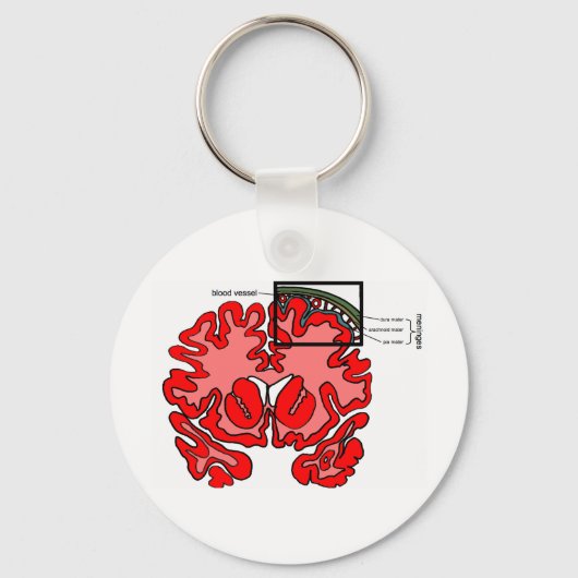 Meninges Sleutelhanger (Voorkant)