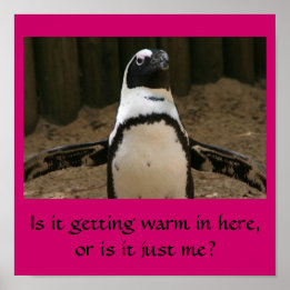 Menopauzale Penguin Poster