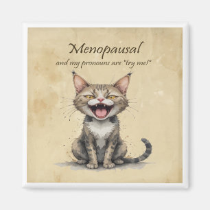 Menopauze Humor Gestrest Boze Kat Magneet