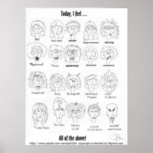 Menopauze Moods Poster