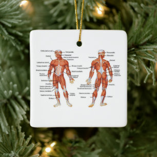 Menselijk anatomiespierdiagram keramisch ornament