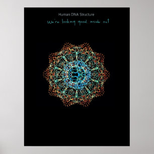 Menselijk DNA-Poster Poster
