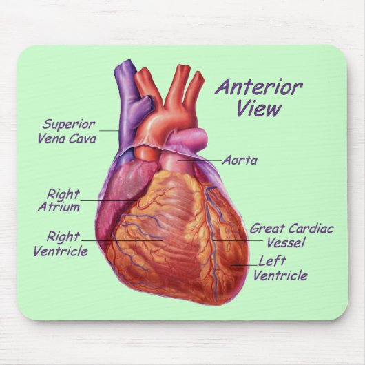 Menselijk hart gelabeld Mousepad Muismat (Voorkant)