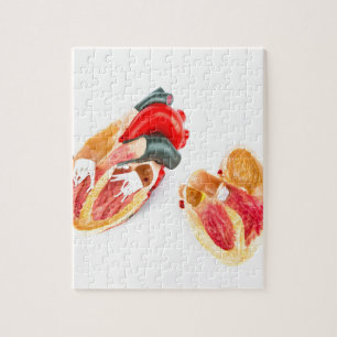 Menselijk hartmodel geïsoleerd op witte achtergron legpuzzel