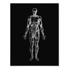 Menselijk lichaam, mannelijke anatomie zwart-wit foto afdruk