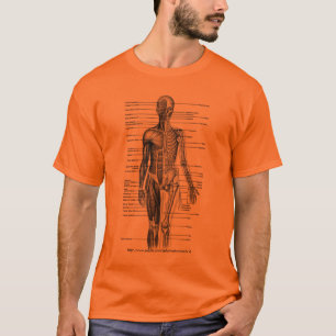 Menselijk lichaam Medische Diagram T-shirt - 4 stu