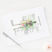 Menselijk mannelijk skelet stickers (Envelop)