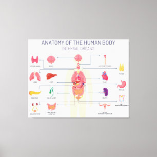 Menselijk orgaansysteem canvas afdruk