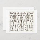 Menselijk skelet Briefkaart (Voorkant / Achterkant)