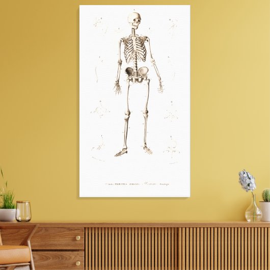 Menselijk skelet canvas afdruk (Insitu (Woonkamer))