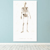 Menselijk skelet canvas afdruk (Insitu (Houten vloer))