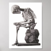 Menselijk skelet Sitting Anatomie science Art Poster (Voorkant)