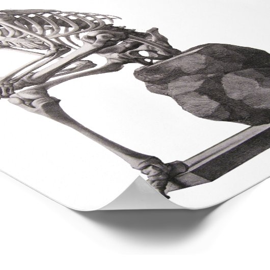 Menselijk skelet Sitting Anatomie science Art Poster (Hoek)