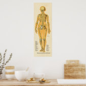 Menselijk Skeleton Anatomie Botten Grafiek Vrouw Poster (Keuken)