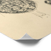  menselijke anatomie 1880 Afdruk Poster (Hoek)