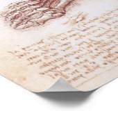Menselijke anatomie Botten van Leonardo da Vinci Poster (Hoek)