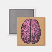 Menselijke Anatomie Brain Magneet (Voorkant / Achterkant)