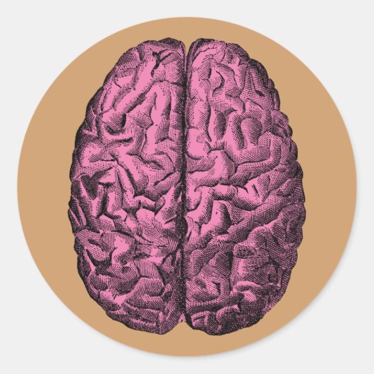 Menselijke Anatomie Brain Ronde Sticker (Voorkant)