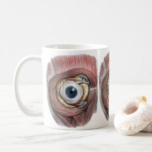  menselijke anatomie, Eyeball Eye met spieren Koffiemok