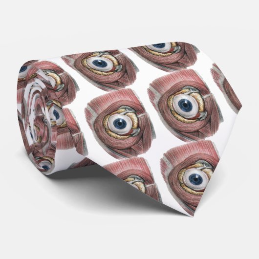 menselijke anatomie, Eyeball Eye met spieren Stropdas (Opgerold)