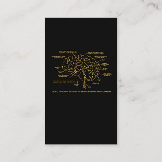  menselijke anatomie-hersenen visitekaartje (Voorkant)