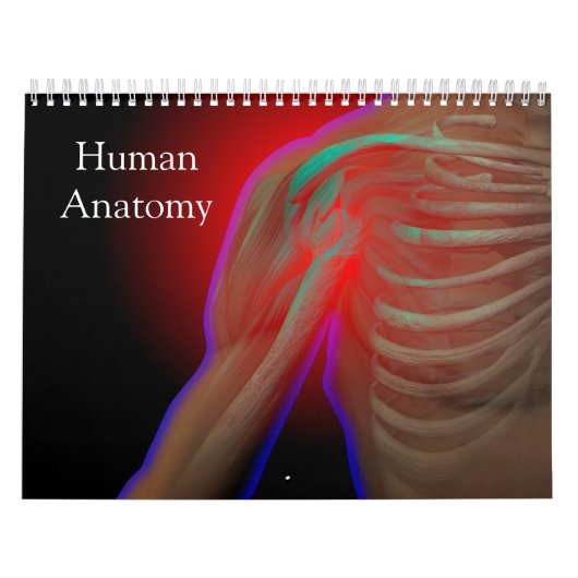 Menselijke anatomie kalender (Hoes)