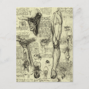  menselijke anatomie Larynx been Leonardo da Vinci Briefkaart
